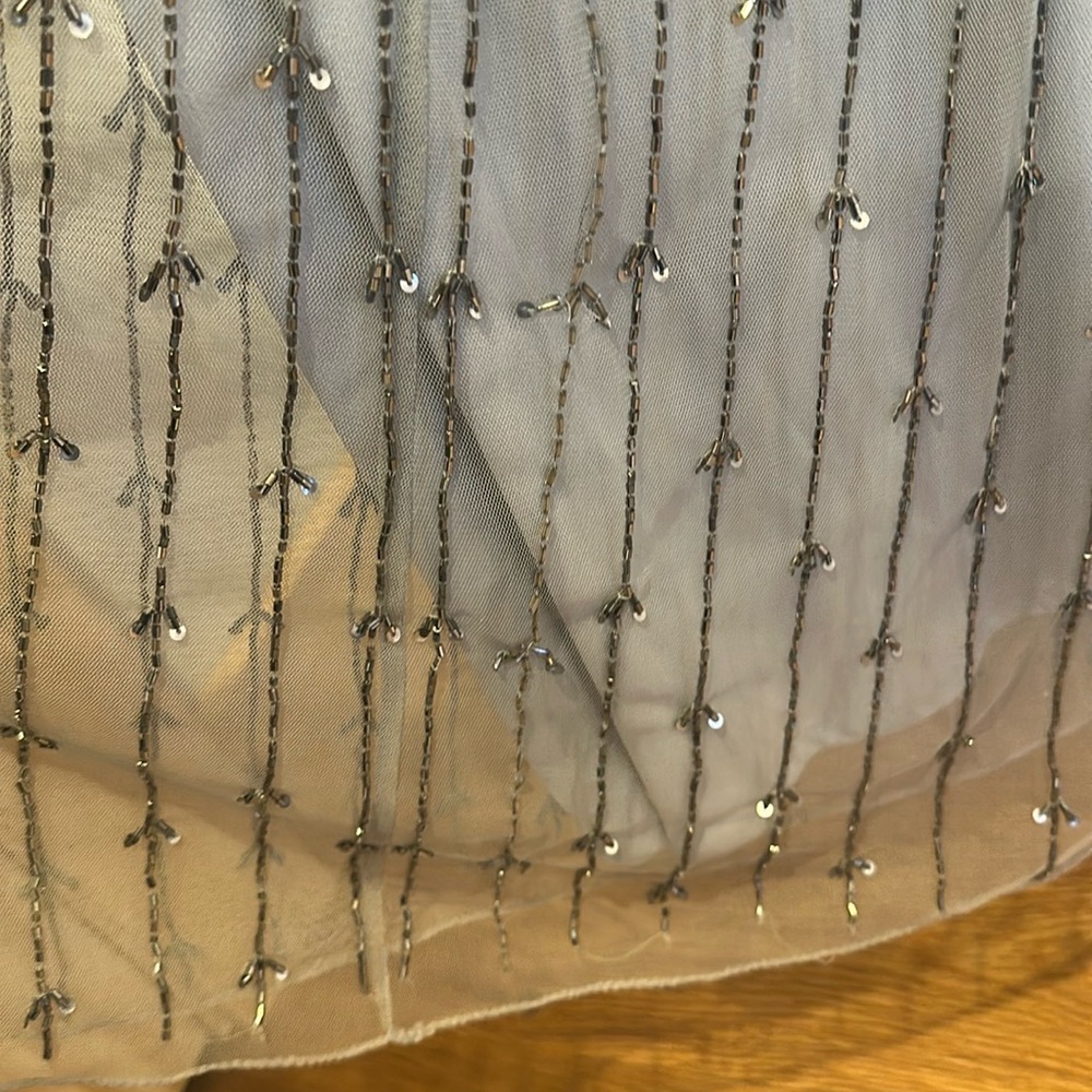 Pisarro Nights Gray Beaded Gown - Picture 13 of 13